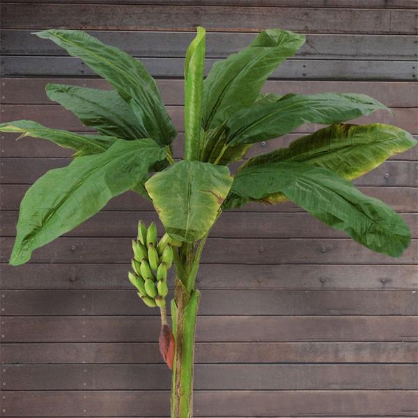 バナナの木 実付き 大型 全高2 4m 人工観葉植物 人工樹木 造花 フェイクフード インテリアグリーン フェイクグリーン Letr7616 人工 観葉植物と造花の通販ケイシン 通販 Yahoo ショッピング