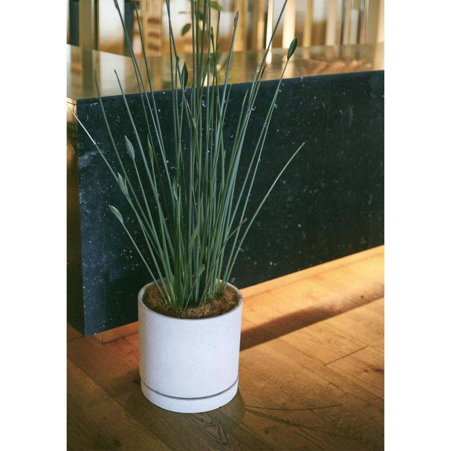 植木鉢 大型 人気 おしゃれ プランター ポット 受け皿付き 植木鉢 大型 人気 おしゃれ プランター ポット 受け皿付き