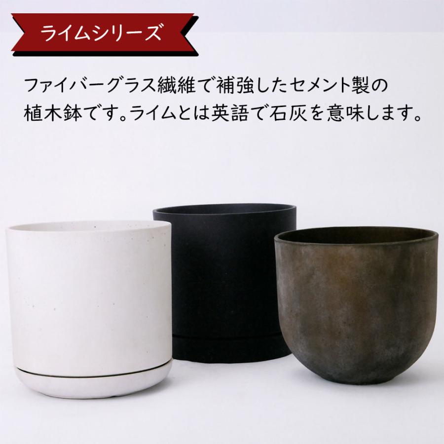 植木鉢 大型 人気 おしゃれ プランター ポット 受け皿付き おすすめ