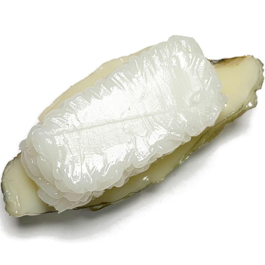 お寿司 あわび 国産品 幅7 2cm フェイクフード 食品サンプル 握り寿司 スシ おすし Sushi 日本製 Made In Japan アワビ 鮑 Na Susi Awabi 人工観葉植物と造花の通販ケイシン 通販 Yahoo ショッピング