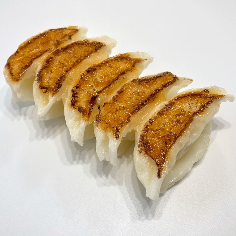 食品サンプル 餃子 ぎょうざ リアル フェイクフード 人気 ギョウザ
