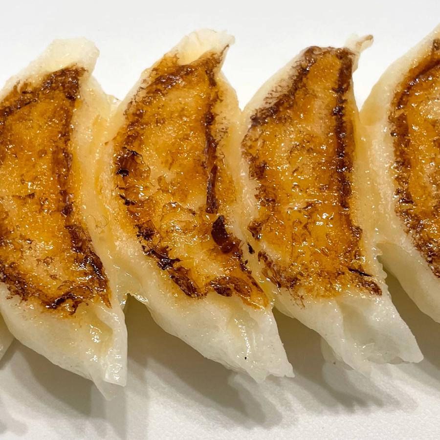 食品サンプル 餃子 ぎょうざ リアル フェイクフード 人気 ギョウザ