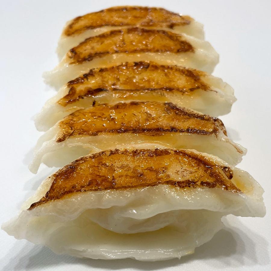 食品サンプル 餃子 ぎょうざ リアル フェイクフード 人気 ギョウザ