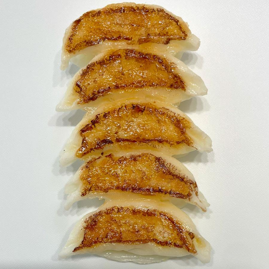 食品サンプル 餃子 ぎょうざ リアル フェイクフード 人気 ギョウザ