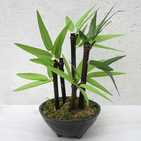ミニ竹 5本立 人工観葉植物 全高23cm タイプa 小鉢 卓上サイズ 竹 バンブー 笹の葉 人工樹木 造花 フェイクグリーン Nb Mini Tka 人工観葉植物と造花の通販ケイシン 通販 Yahoo ショッピング
