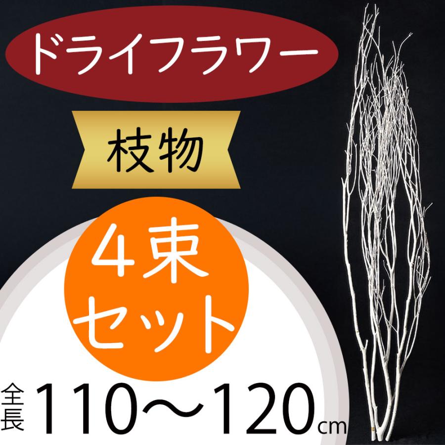 枝物 大型 大きい 大きめ ドライフラワー おしゃれ ホワイト 白 人気