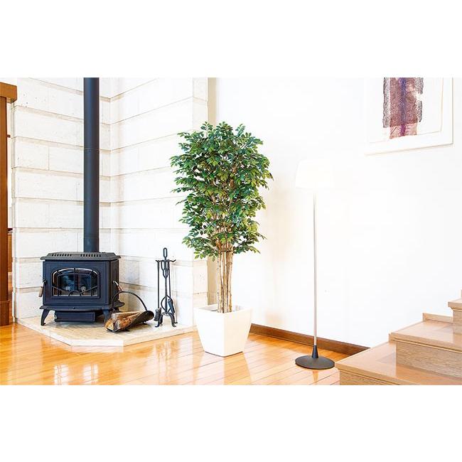 トネリコ 人工観葉植物 全高1 8m シマトネリコ 人工樹木 造花 インテリアグリーン フェイクグリーン Ngt 33 M 人工観葉植物と造花の通販ケイシン 通販 Yahoo ショッピング