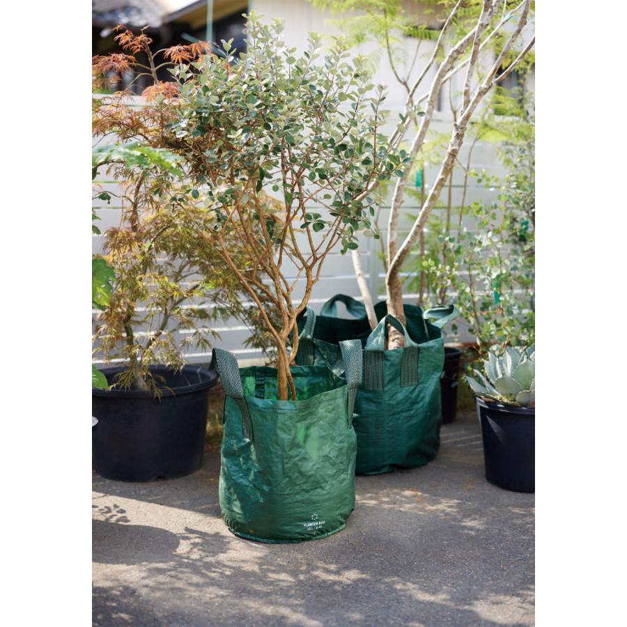 植木鉢 大型 おしゃれ 人気 プランター バッグ ポット 観葉植物 観葉鉢