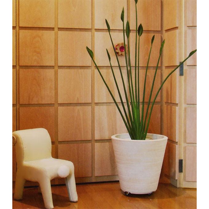 鉢カバー おしゃれ キャスター付き 大型 プランター 信楽焼 国産品