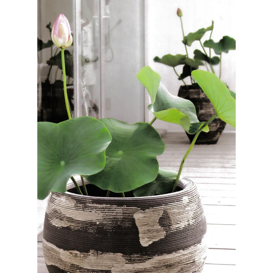 鉢カバー プランターカバー おしゃれ 大型 人気 観葉植物 インドア
