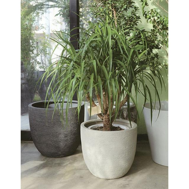 ふるさと納税 樹脂製 植木鉢 プランター アイボリー 60cm 底穴あり 新素材ポリストーンライト使用 リガンデ キューブ 高級感あるおしゃれなフラワーポット 園芸 ガーデニング用品植木 鉢 プランター ぷらんたー うえきばち うえき はち ウエキバチ ウエキ