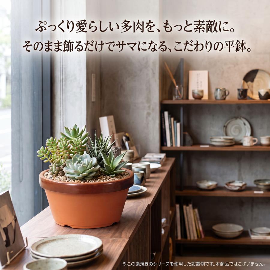 植木鉢 大型 素焼き 人気 おすすめ おしゃれ プランター 陶器 園芸鉢
