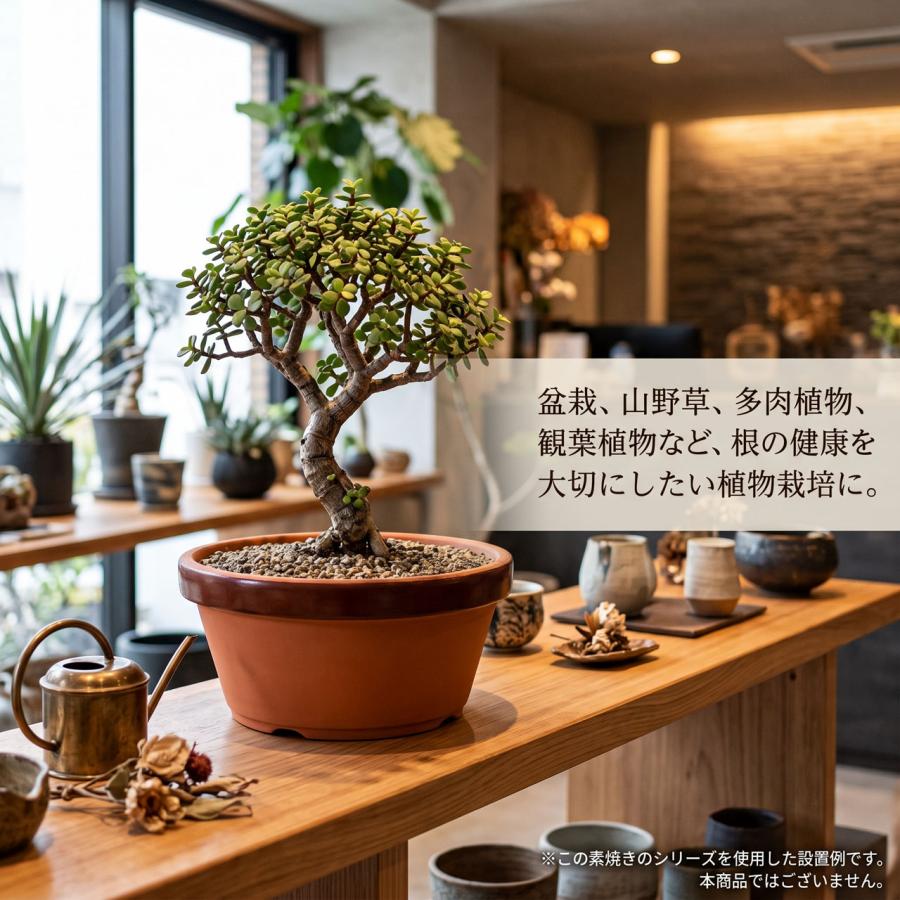 植木鉢 大型 素焼き 人気 おすすめ おしゃれ プランター 陶器 園芸鉢