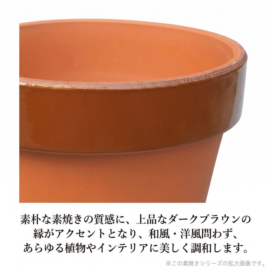植木鉢 大型 素焼き 人気 おすすめ おしゃれ プランター 陶器 園芸鉢