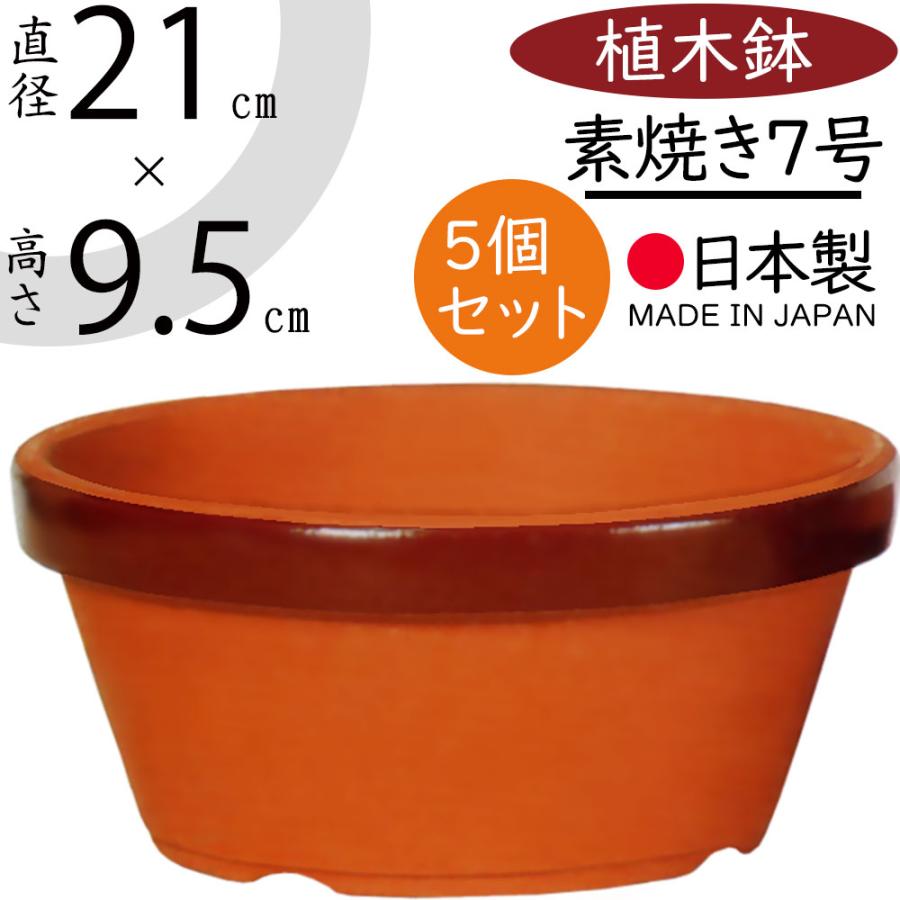 植木鉢 素焼き 人気 おすすめ おしゃれ プランター 陶器鉢 園芸鉢 浅鉢 