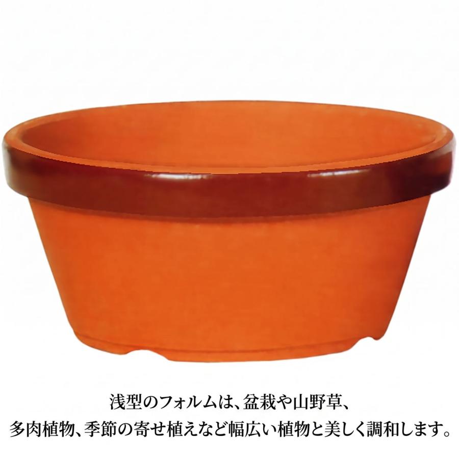 植木鉢 素焼き 人気 おすすめ おしゃれ プランター 陶器鉢 園芸鉢 浅鉢