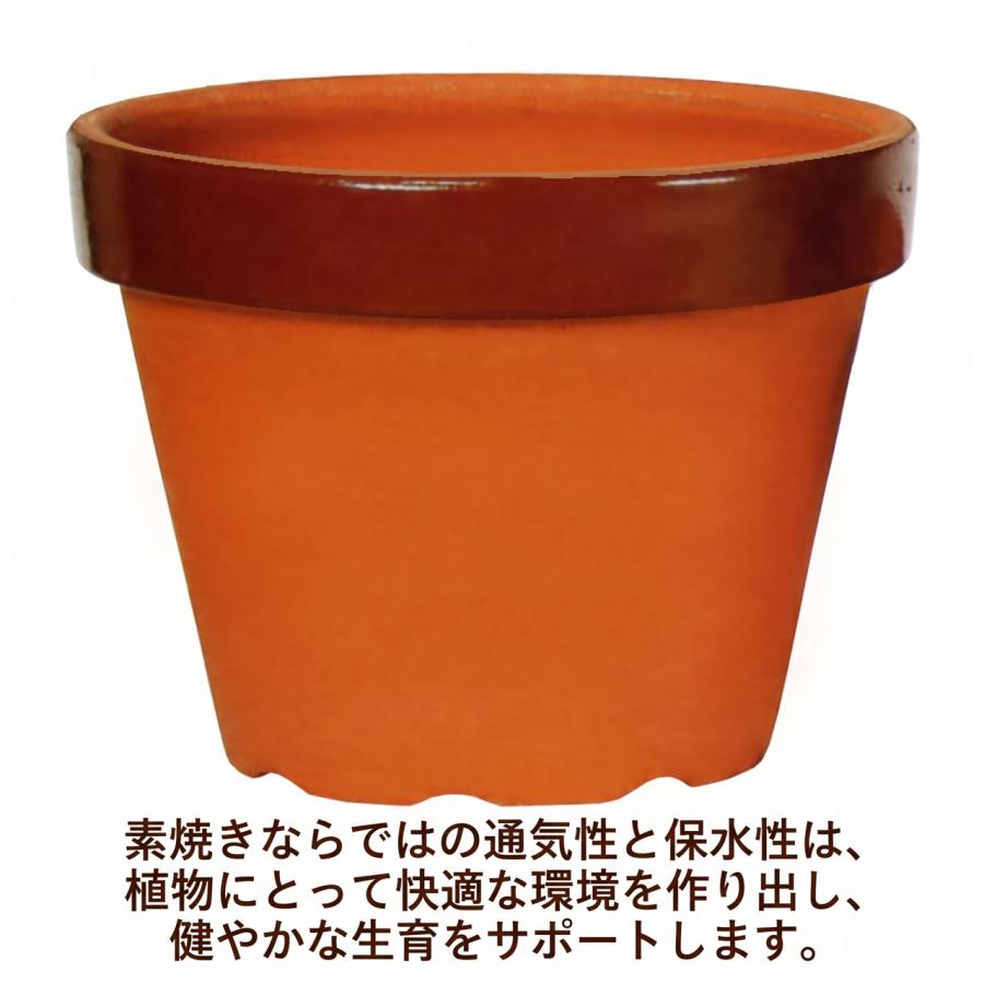 植木鉢 大型 素焼き 人気 おすすめ おしゃれ プランター 陶器鉢 園芸鉢