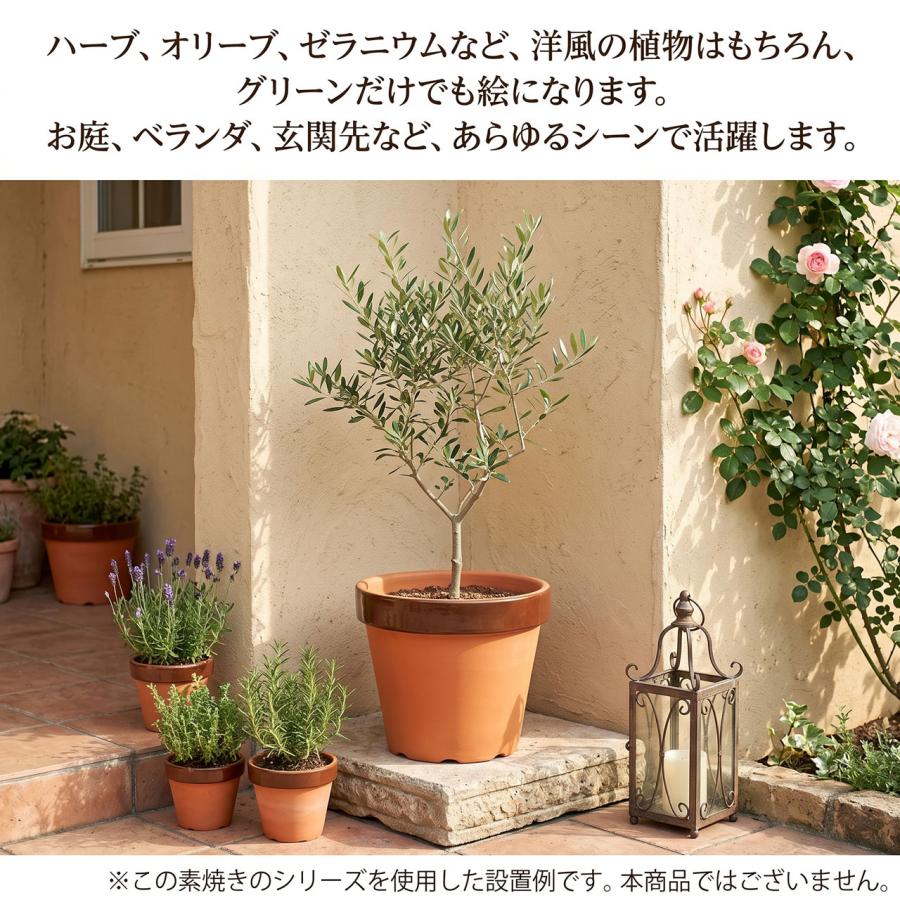 植木鉢 大型 素焼き 人気 おすすめ おしゃれ プランター 陶器鉢 園芸鉢