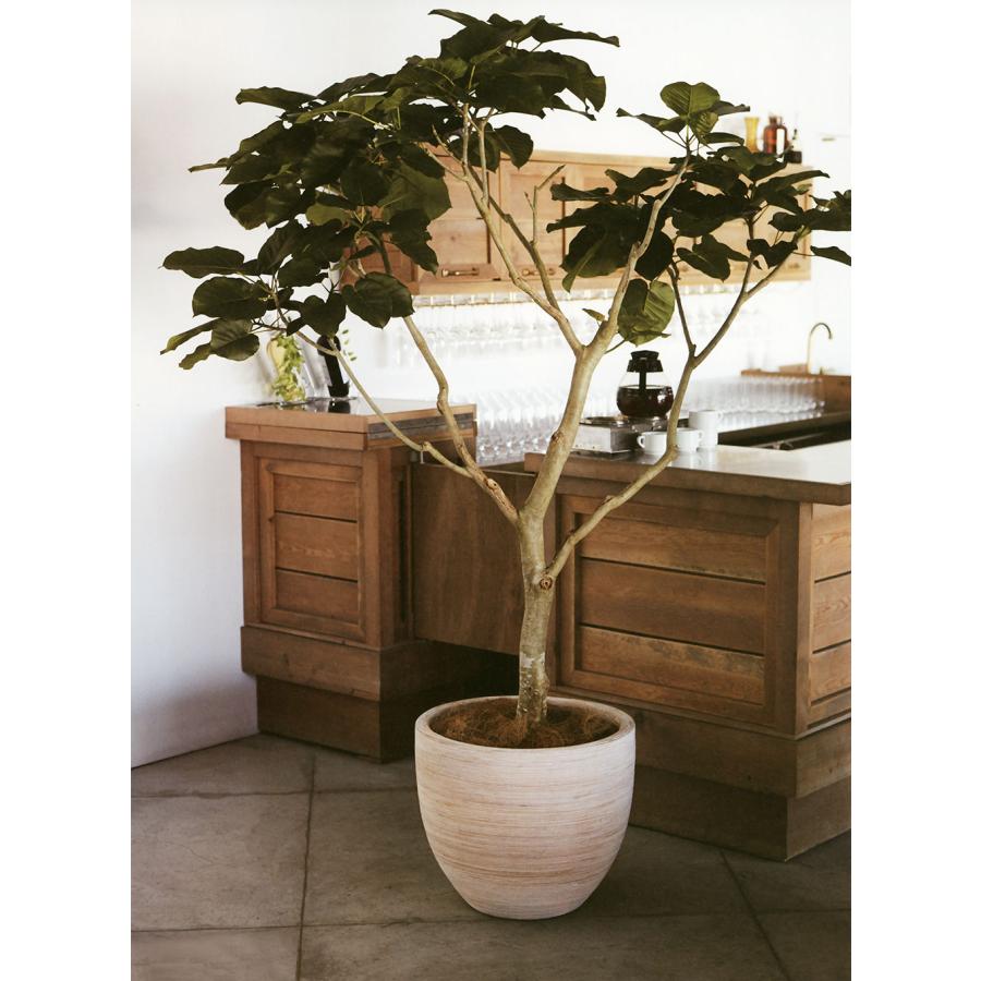 鉢カバー おしゃれ 大型 プランター 観葉植物 人気 おすすめ 園芸