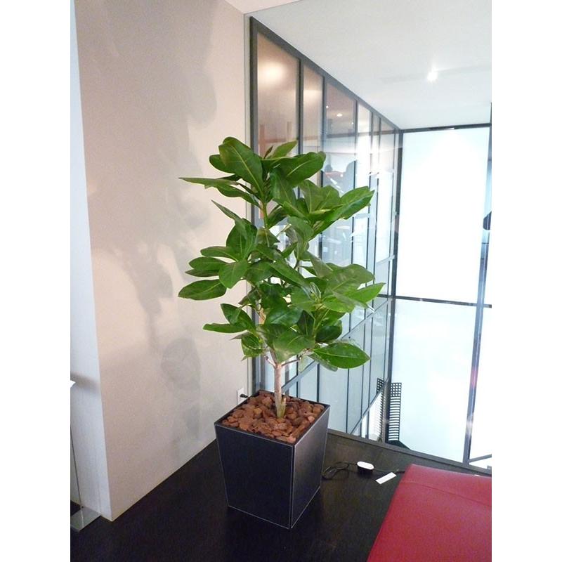 鉢カバー おしゃれ プランター 観葉植物 NEW レザータッチ スクエア 10〜11号用 口40.5cm×全高44cm フェイクレザー 型押し 鉢カバー