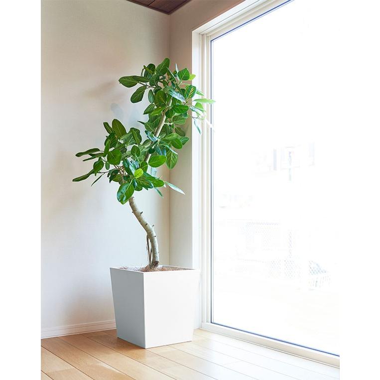 鉢カバー おしゃれ プランター 観葉植物 NEW レザータッチ スクエア 10〜11号用 口40.5cm×全高44cm フェイクレザー 型押し 鉢カバー