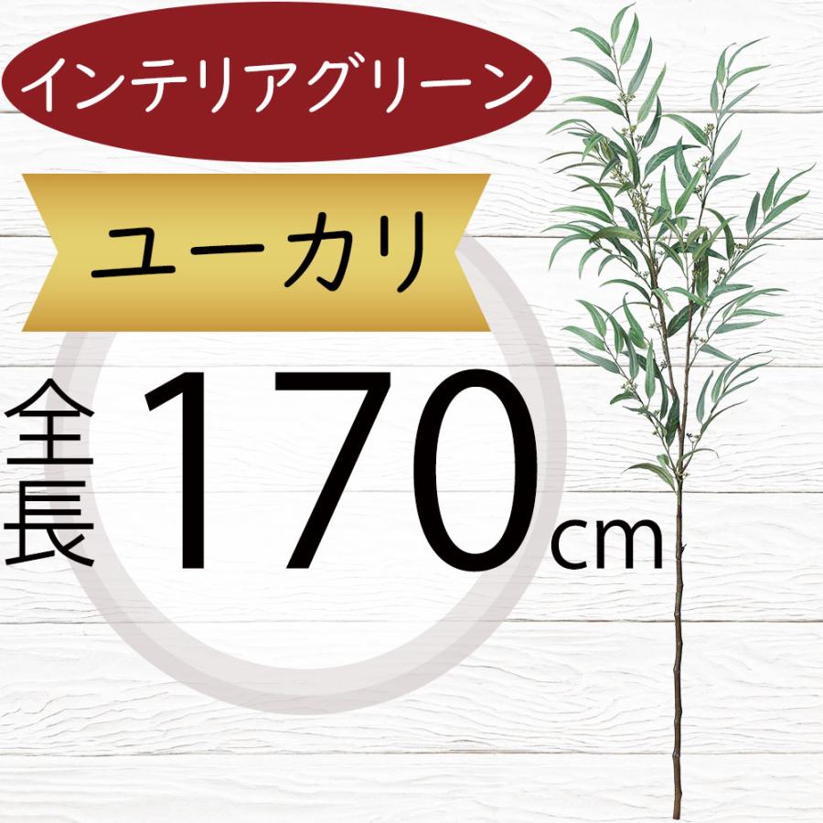 ユーカリ 全長170cm フェイクグリーン 造花 インテリアグリーン おしゃれ 人工観葉植物 S21a 3349 人工観葉植物と造花の通販ケイシン 通販 Yahoo ショッピング