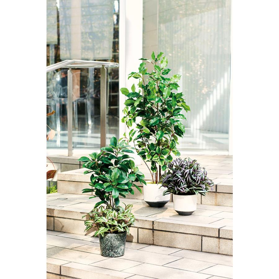 Uv屋外対応 全長36cm 3本セット フェイクグリーン インテリアグリーン 人工観葉植物 造花 テラス お庭 バルコニー おしゃれ S21a 3815 人工観葉植物と造花の通販ケイシン 通販 Yahoo ショッピング