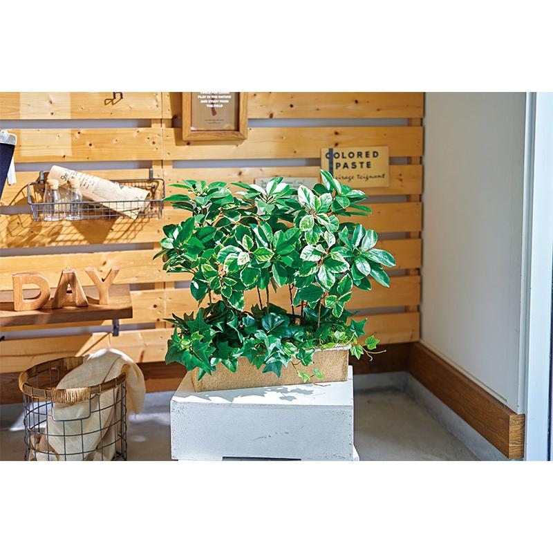 1周年記念イベントが Uv屋外対応 アイビー ブッシュ 全長56cm 2本セット フェイクグリーン 人工観葉植物 造花 おしゃれ テラス 庭 バルコニー Wantannas Go Id