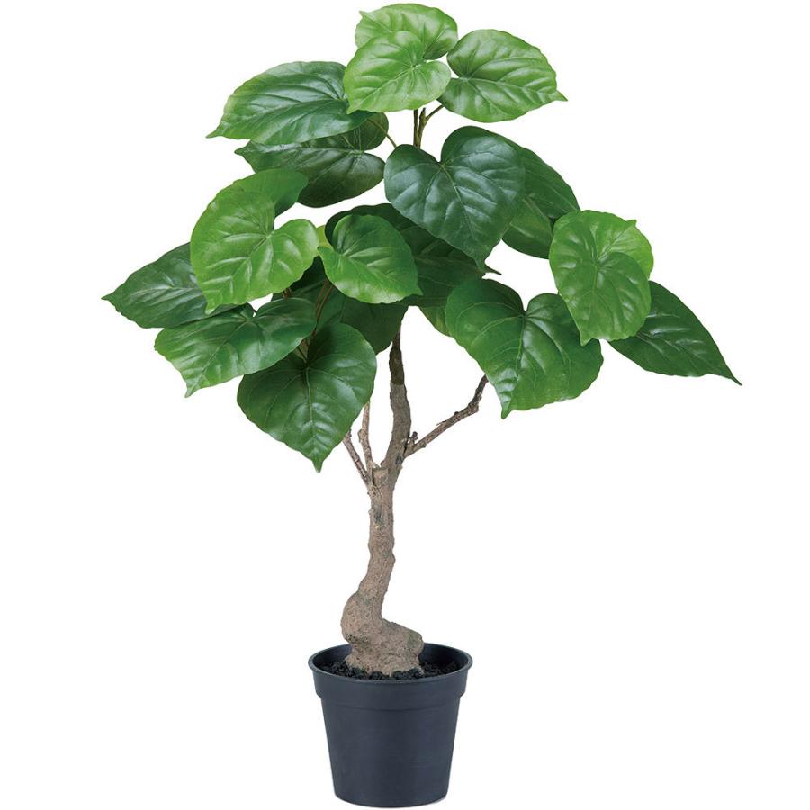 ウンベラータ 人工観葉植物 全高60cm フィカス 人工樹木 造花 フェイクグリーン インテリアグリーン S21a A 人工観葉植物と造花の通販ケイシン 通販 Yahoo ショッピング