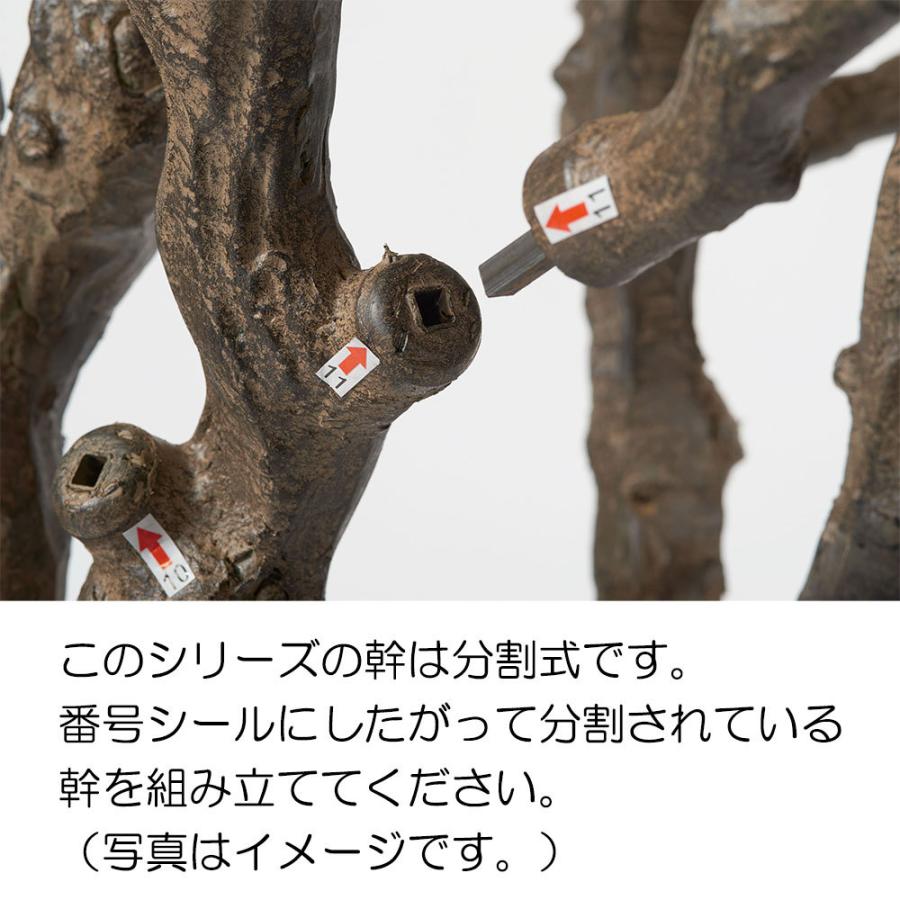 匿名配送 観葉植物 おしゃれ 大型 インテリアグリーン もみじ モミジ 紅葉 特大 3.0m 【BCD3432539700】(121968円)