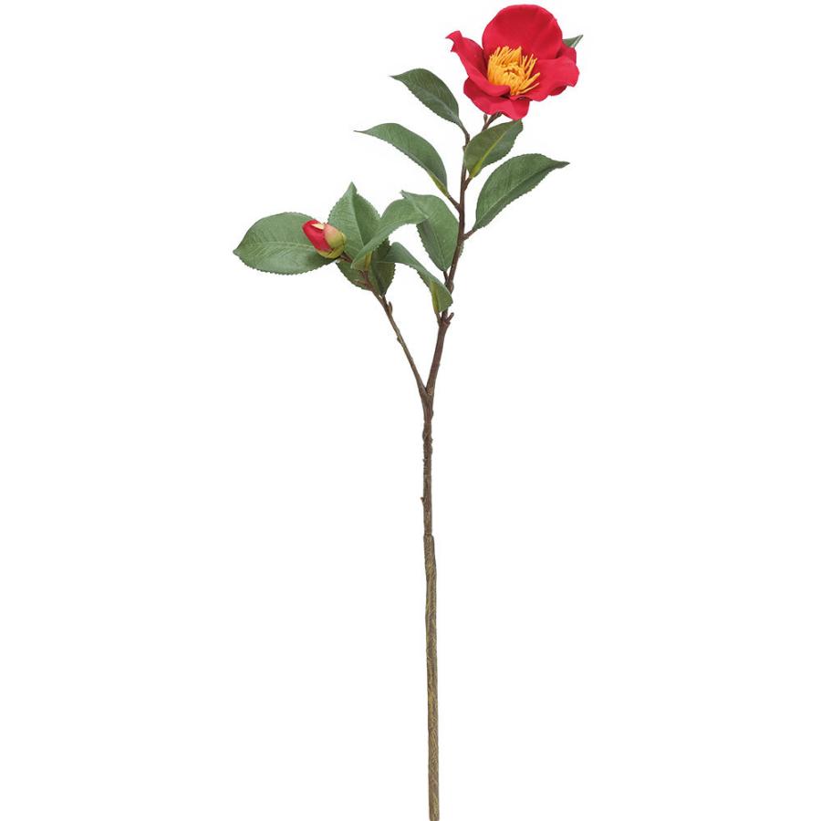 【花椿ページ】 tn06-a80-02.jpg