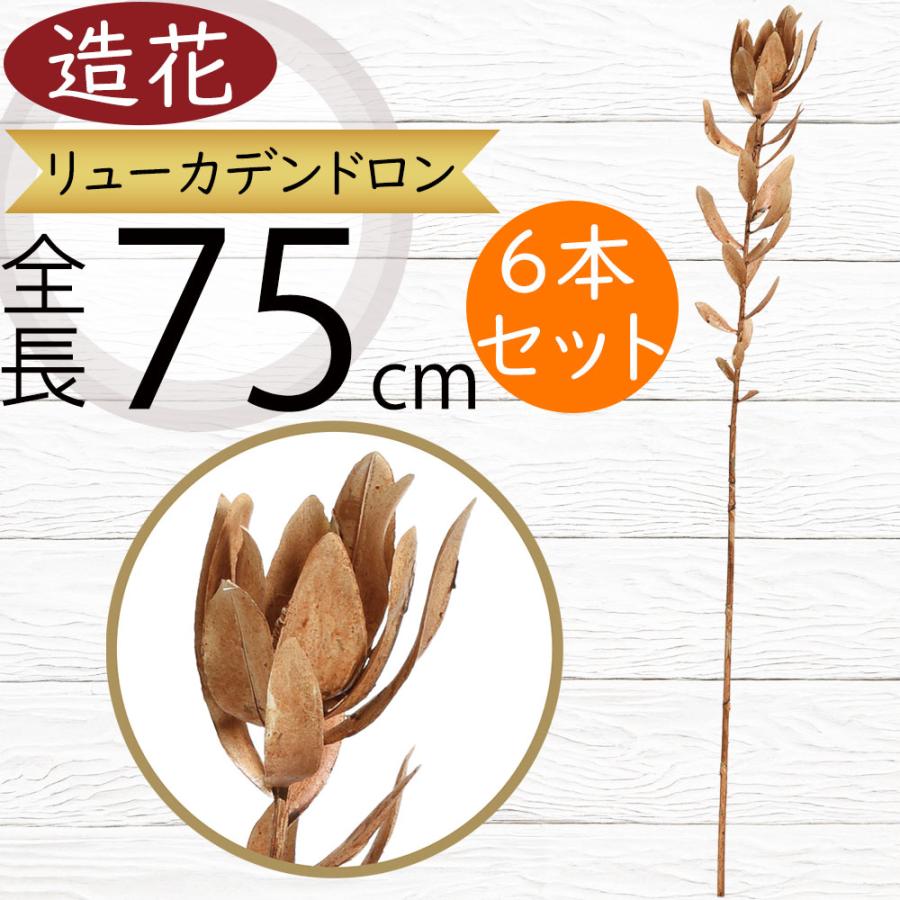 リューカデンドロン 造花 おしゃれ 人気 アーティフィシャルフラワー