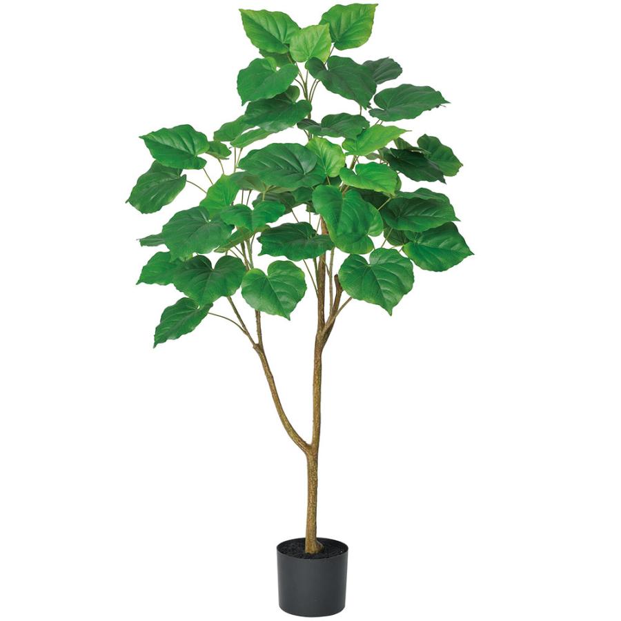 ウンベラータ 人気 インテリアグリーン おしゃれ リアル 観葉植物