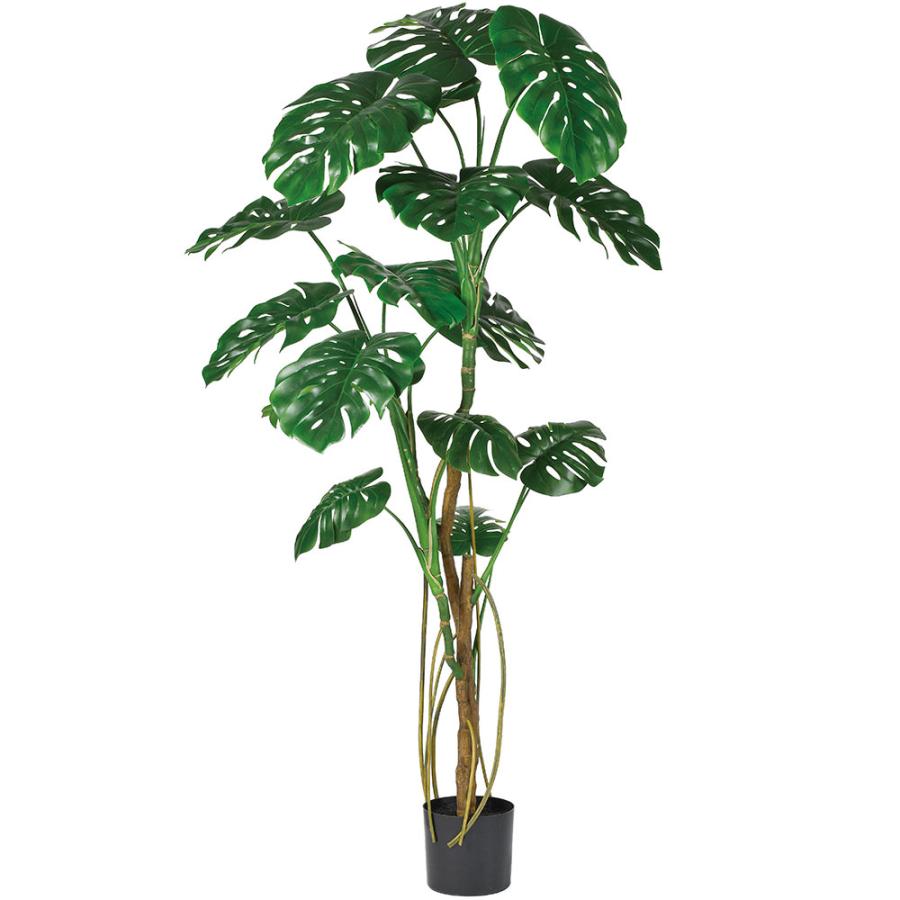 モンステラ おしゃれ 大型 人気 インテリアグリーン 観葉植物 フェイク