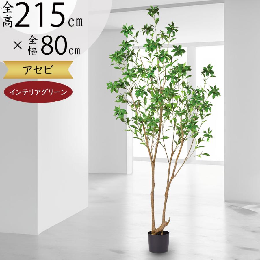 観葉植物 おしゃれ 大型 インテリアグリーン フェイクグリーン リアル