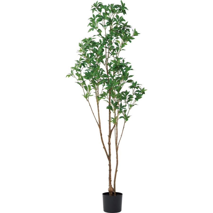 観葉植物 おしゃれ 大型 インテリアグリーン フェイクグリーン リアル