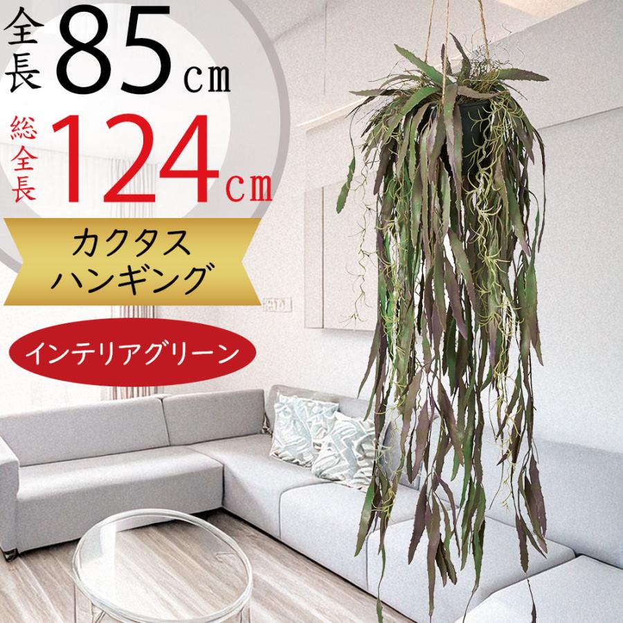ハンギング プランター おしゃれ カクタス 多肉植物 大型 人気 
