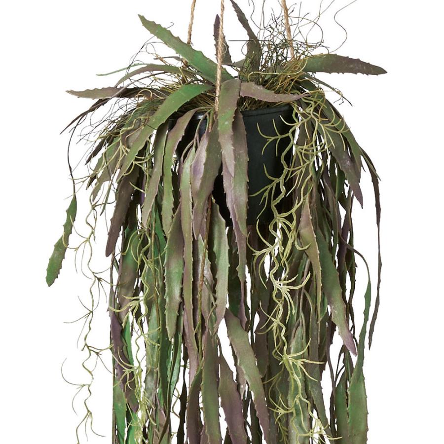 ハンギング プランター おしゃれ カクタス 多肉植物 大型 人気 