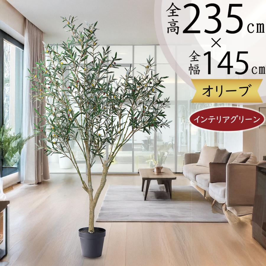 s25a-a51126
