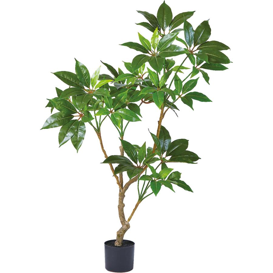 観葉植物 ツピダンサス おしゃれ インテリアグリーン 人工観葉