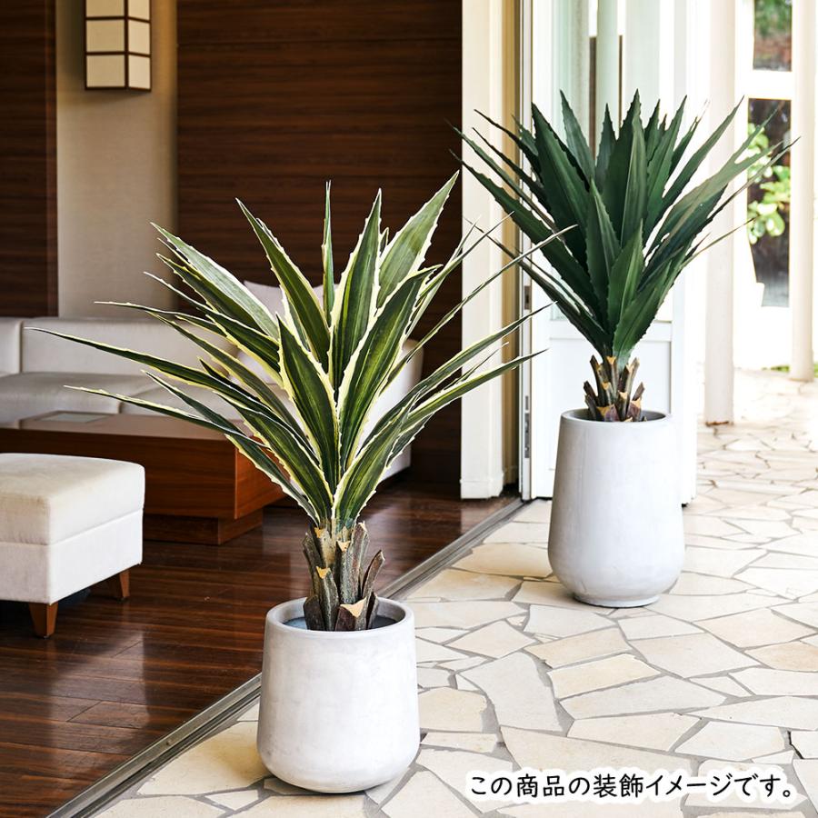 インテリアグリーン アガベ おしゃれ 多肉植物 観葉植物 人気 フェイク