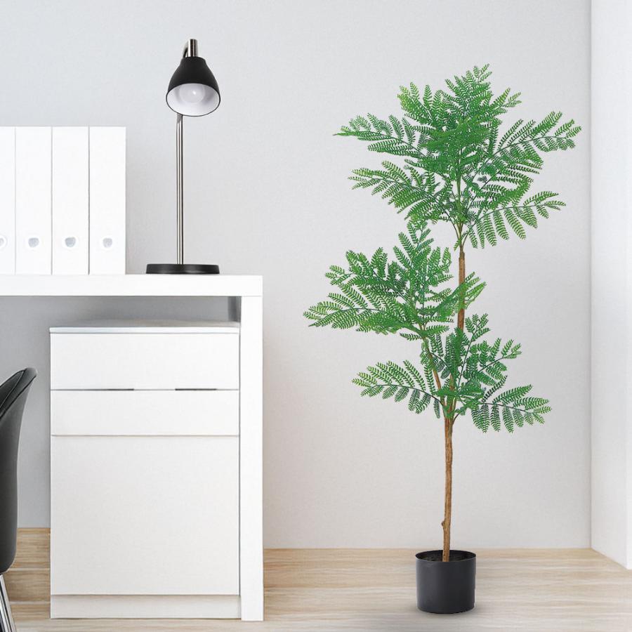 エバーフレッシュ『ネムノキ』〈定番人気〉【インテリアグリーン】