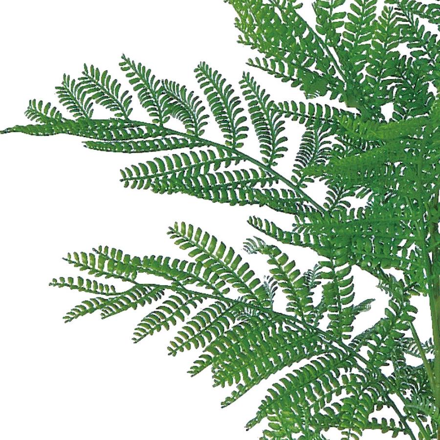 インテリアグリーン おしゃれ 人気 リアル おすすめ 人工観葉植物