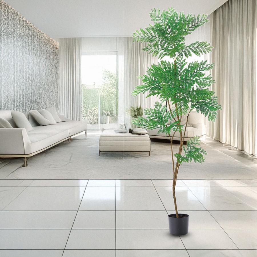 現品　エムの木　エバーフレッシュ　観葉植物　室内　インテリアグリーン　特大　人気 インテリアグリーン 大型 おしゃれ 人気 リアル おすすめ 人工観葉植物