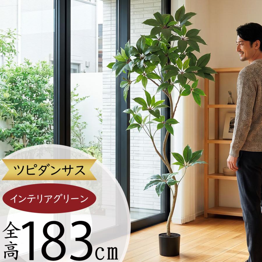 フェイクグリーン 大型 ツピダンサス おしゃれ インテリアグリーン