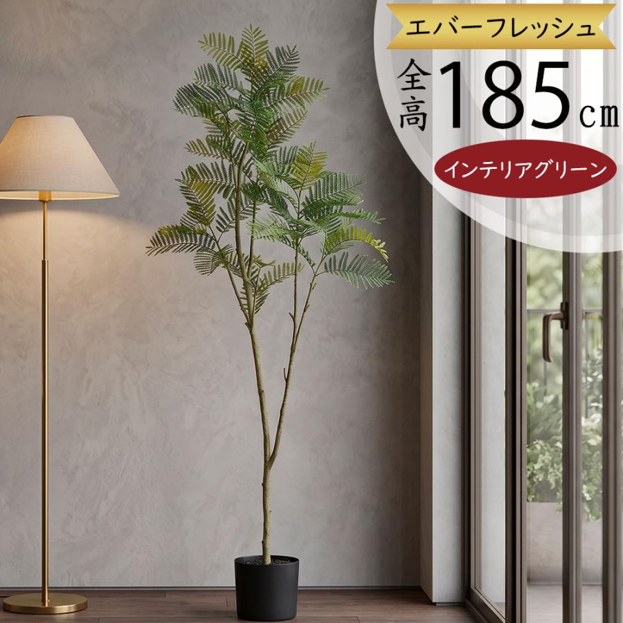 インテリアグリーン 大型 おしゃれ 人気 リアル おすすめ 人工観葉植物