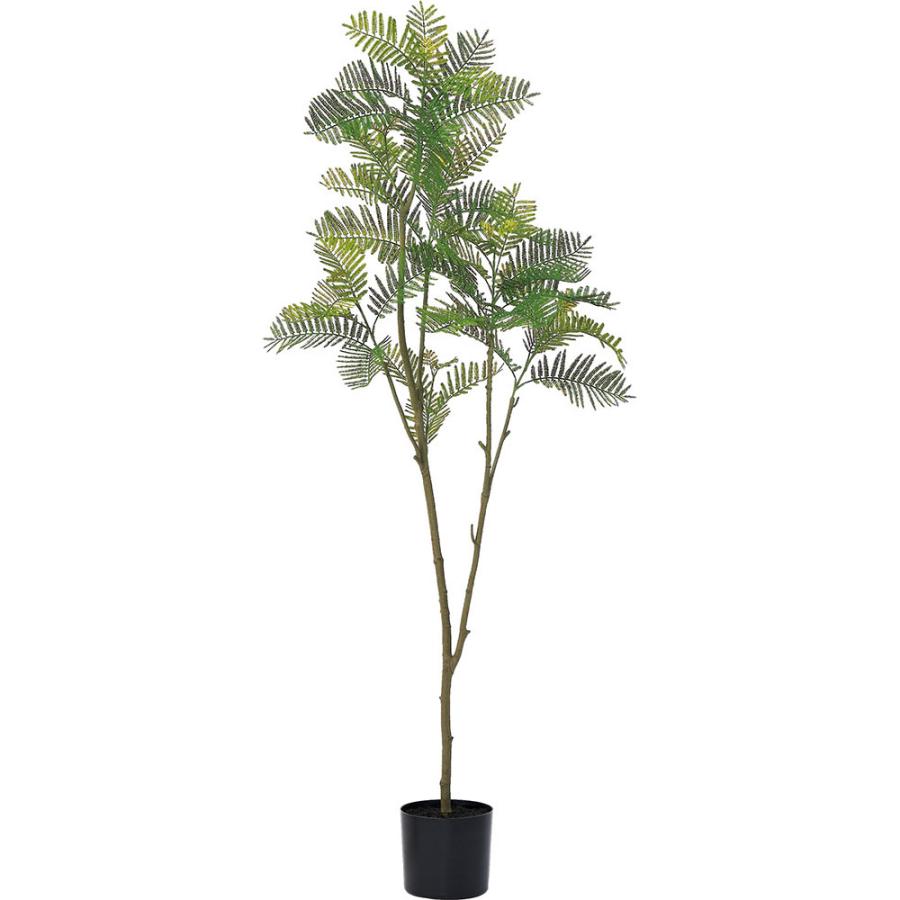 インテリアグリーン 大型 おしゃれ 人気 リアル おすすめ 人工観葉植物