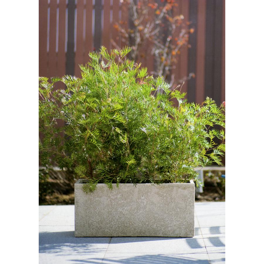 植木鉢 おしゃれ 大型 プランター 観葉植物 人気 おすすめ 園芸 