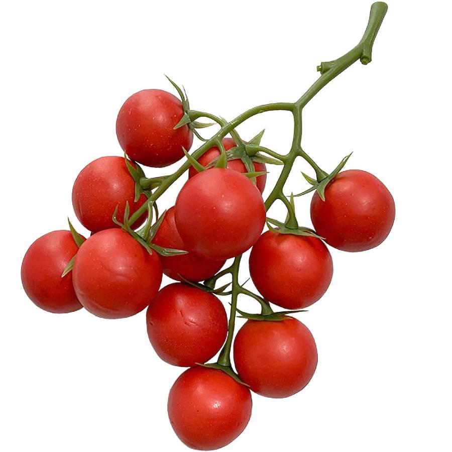 食品サンプル トマト とまと プチトマト ミニトマト リアル フェイク