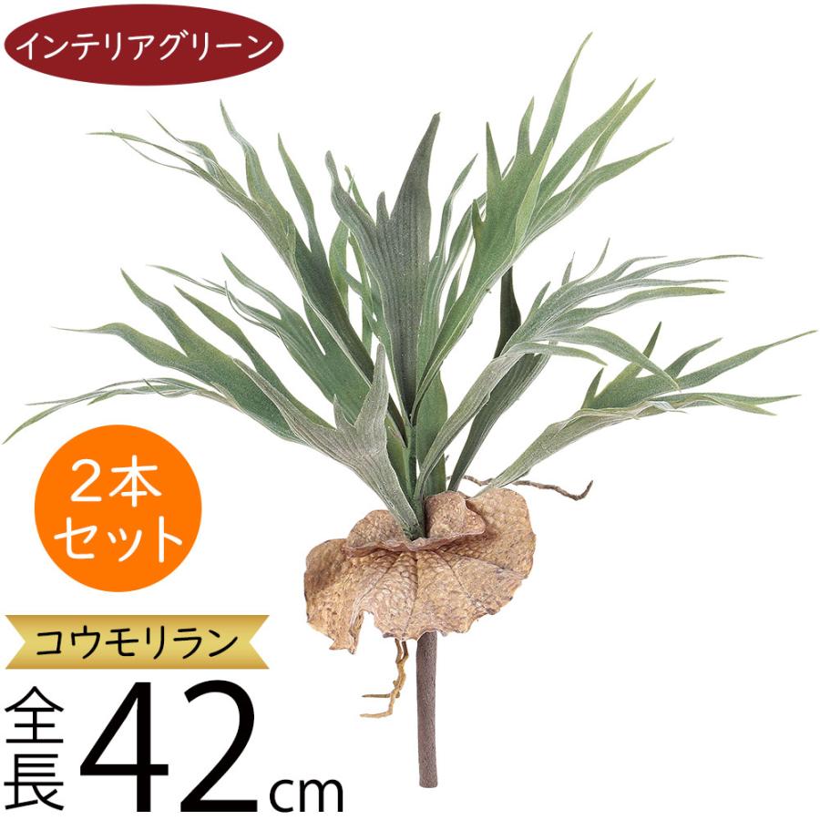 コウモリラン ビカクシダ おしゃれ 人気 フェイクグリーン インテリア